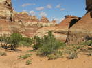photo thumbnail #10