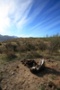 photo thumbnail #7