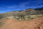 photo thumbnail #12