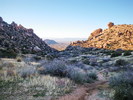 photo thumbnail #7