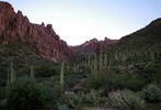 photo thumbnail #1