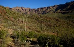 photo thumbnail #7