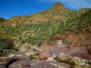 photo thumbnail #11