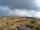 photo thumbnail #12