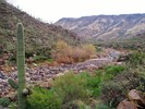 photo thumbnail #14