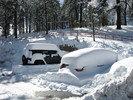 photo thumbnail #7