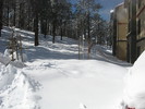 photo thumbnail #8