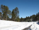 photo thumbnail #9