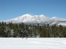 photo thumbnail #13