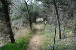 photo thumbnail #4