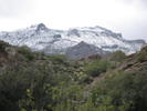 photo thumbnail #9