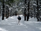 photo thumbnail #1