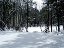 photo thumbnail #4