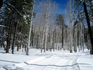 photo thumbnail #6