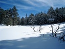 photo thumbnail #10