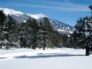 photo thumbnail #11