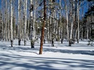 photo thumbnail #12