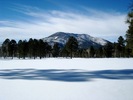 photo thumbnail #13