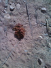 photo thumbnail #11