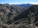 photo thumbnail #8