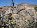 photo thumbnail #9