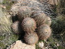 photo thumbnail #11