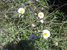 photo thumbnail #13