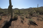 photo thumbnail #2