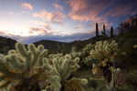 photo thumbnail #5