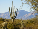 photo thumbnail #4