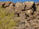 photo thumbnail #1