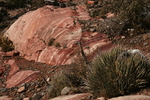 photo thumbnail #12