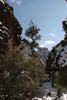photo thumbnail #13
