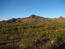 photo thumbnail #2