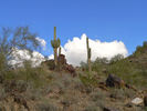 photo thumbnail #8