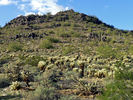 photo thumbnail #12