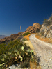photo thumbnail #1