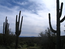 photo thumbnail #13