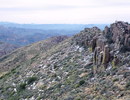 photo thumbnail #5