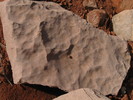Featured Detail Photo