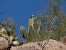 photo thumbnail #13