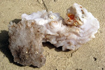 photo thumbnail #11