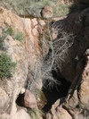 photo thumbnail #2