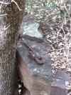 photo thumbnail #4