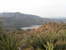 photo thumbnail #10