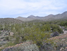 photo thumbnail #2