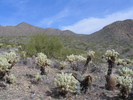 photo thumbnail #9