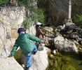 photo thumbnail #2