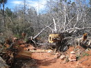 photo thumbnail #7