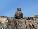 photo thumbnail #7